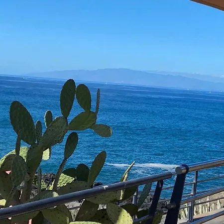 Flores 2 Playa de las Américas