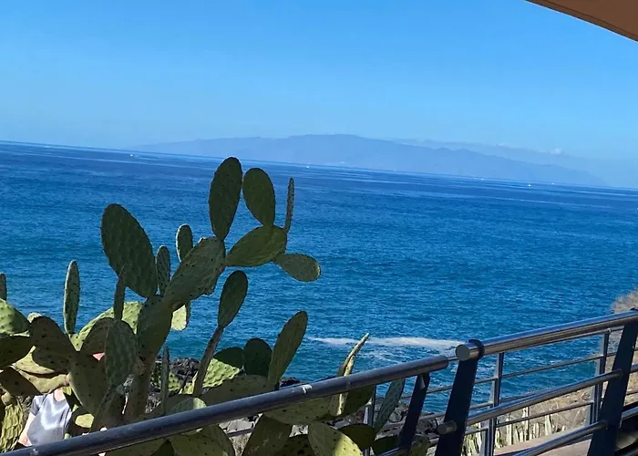 Flores 2 美洲海滩