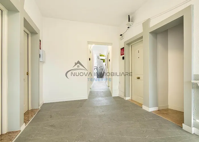 Flores 2 * 美洲海滩