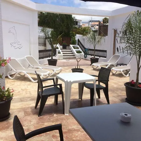 Flores 2 Плая-де-лас-Америкас